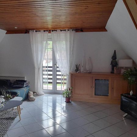 Gite Le Jardin De Hermolsheim. Alsace Tres Spacieux Mutzig Exterior photo