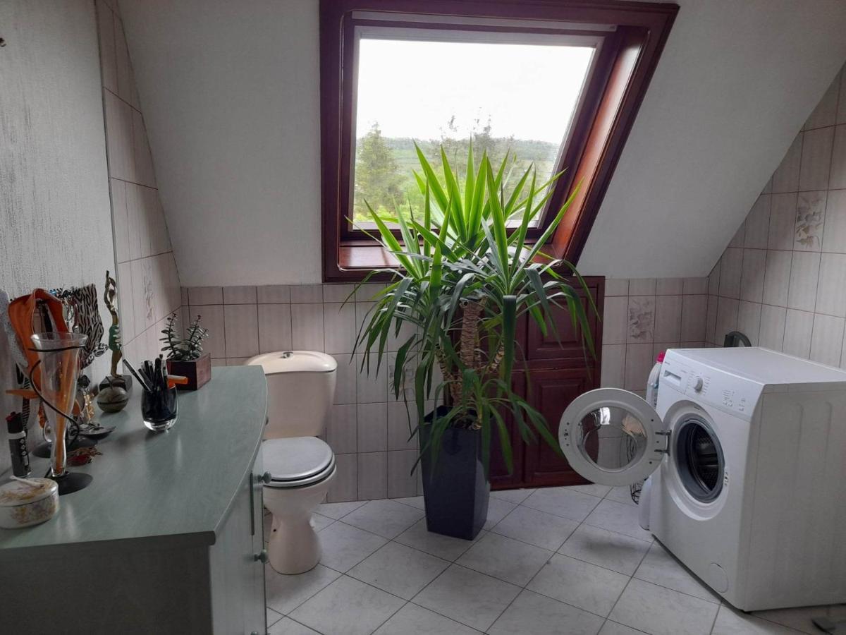 Gite Le Jardin De Hermolsheim. Alsace Tres Spacieux Mutzig Exterior photo